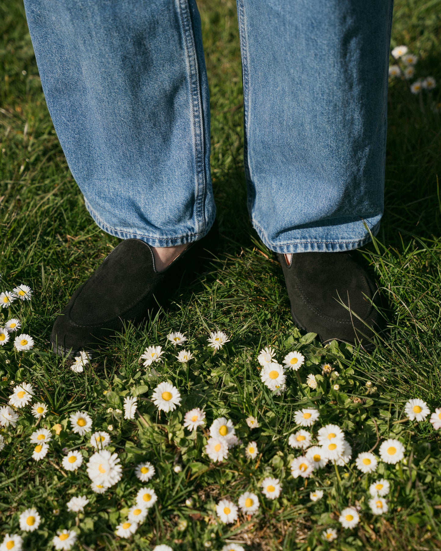 A close-up of a person wearing Brännö II – Black Suede loafers with blue jeans, standing on a lawn with daisies.